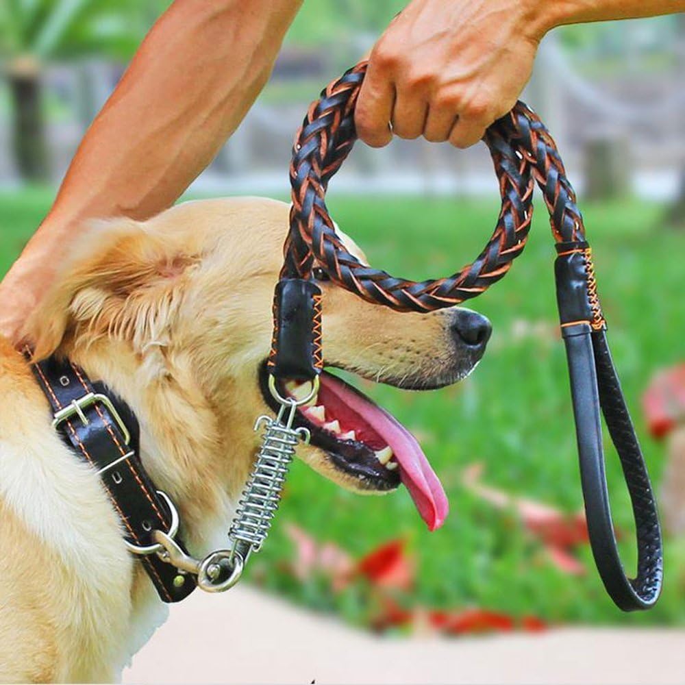 COLLARS & HARNESSES