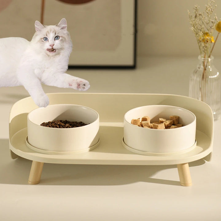 Cat Double Bowls Feeder