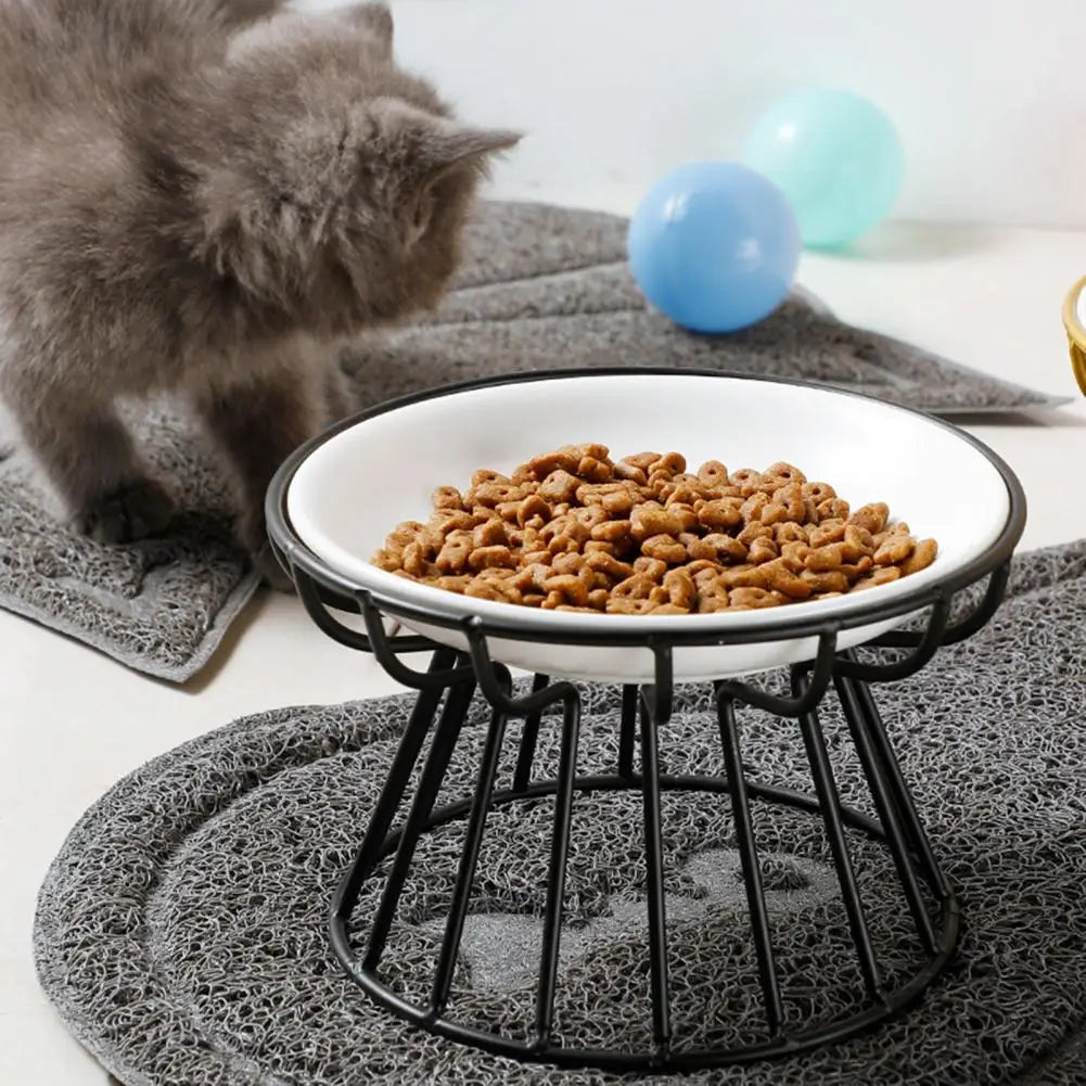 Cat Bowl Elevated Ceramic Raised Iron