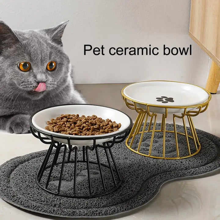 Cat Bowl Elevated Ceramic Raised Iron