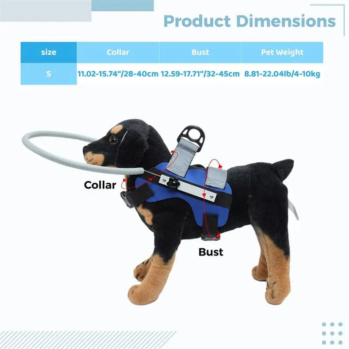 Blind Dog Head Collar