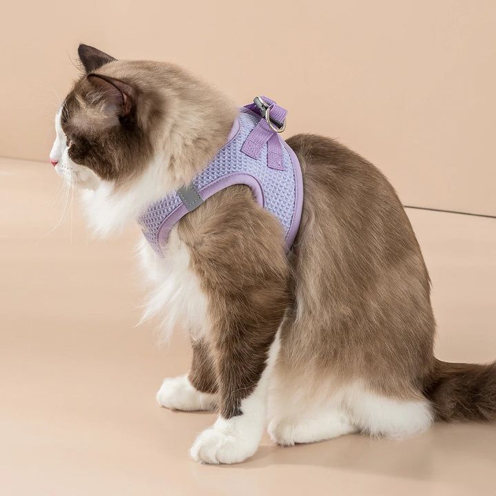 Cat Dog Vest Harness Leash