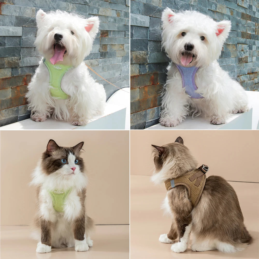 Cat Dog Vest Harness Leash