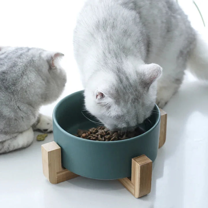 Ceramic Dog Feeding Bowl