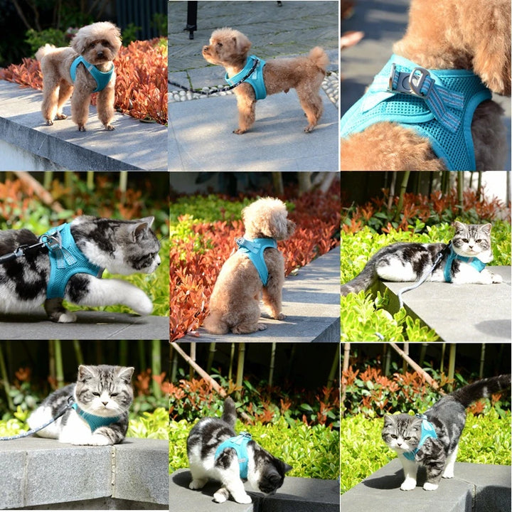 Dog Harness Vest