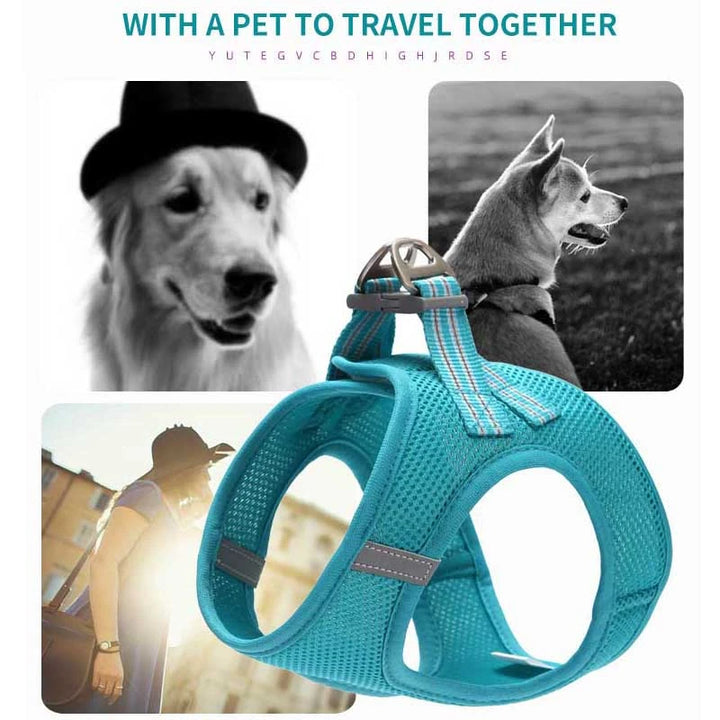 Dog Harness Vest