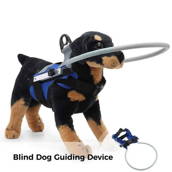 Blind Dog Head Collar