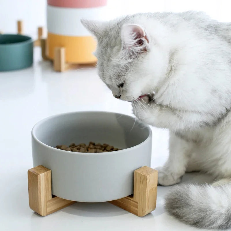 Ceramic Dog Feeding Bowl